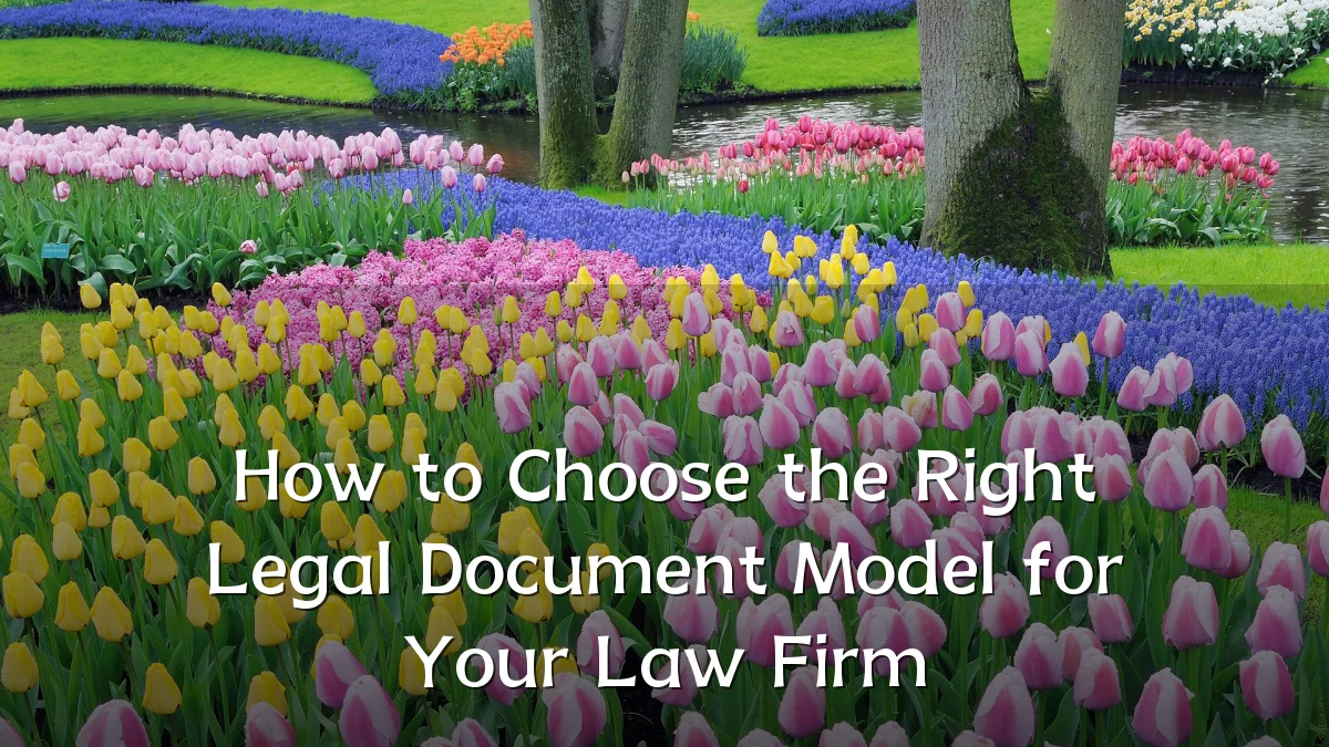 How to Choose the Right Legal Document Model for Your Law Firm